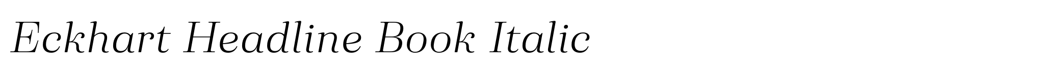 Eckhart Headline Book Italic image